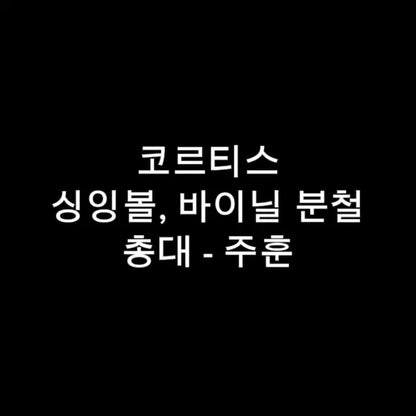 코르티스 싱잉볼, 바이닐 일괄 분철 최저가