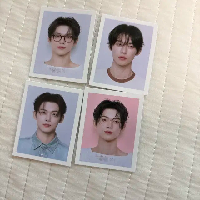베네피트 투바투 연준 증사