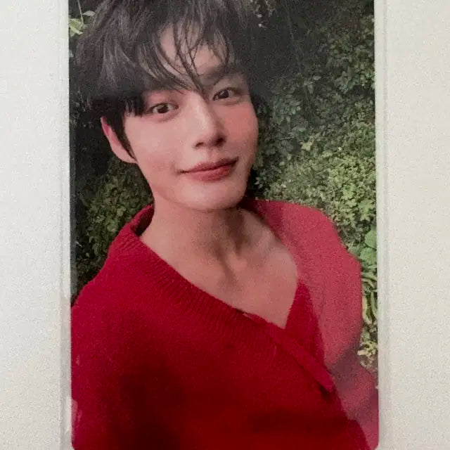 제베원 김지웅 김태래 시네마파라다이스 포카 양도