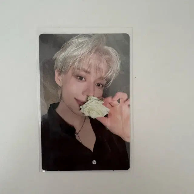 제베원 김지웅 김태래 시네마파라다이스 포카 양도