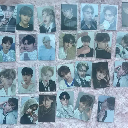 제베원 포카 대량양도 규빈 건욱 한빈 유진 럭드 앨범