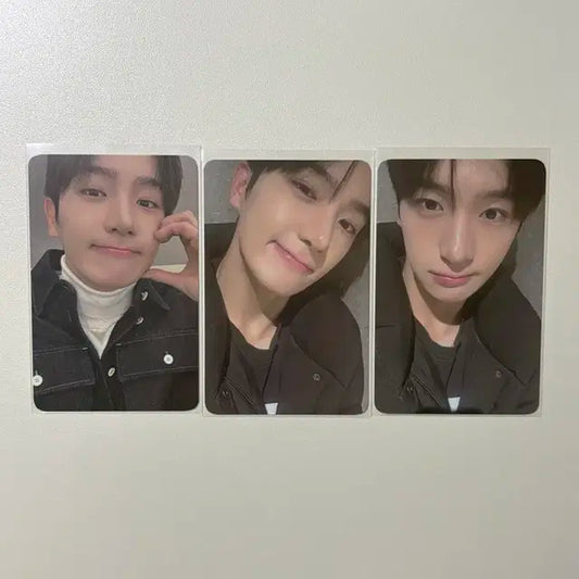 더보이즈 현재 프롬 포카 양도합니다