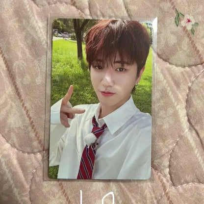 보넥도 포카판매 리우 성호 운학 이한