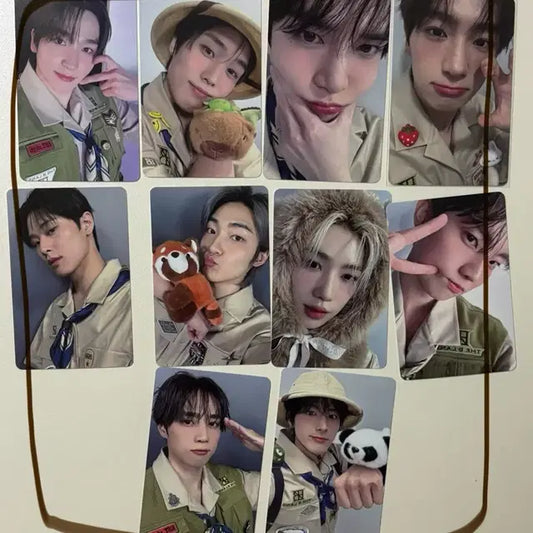 더보이즈 더비랜드 입장포카 양도합니다