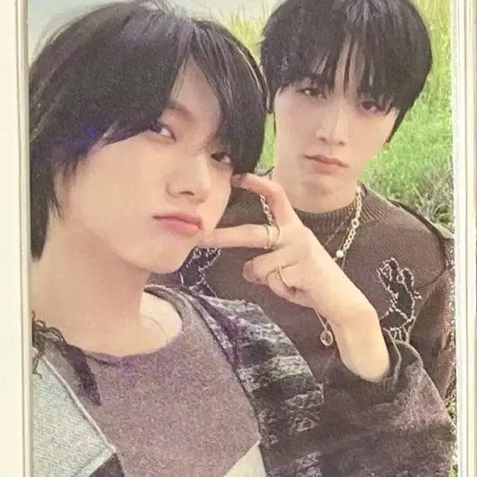 보넥도 보이넥스트도어 태산성호 why dazed 버전 앨범 포카