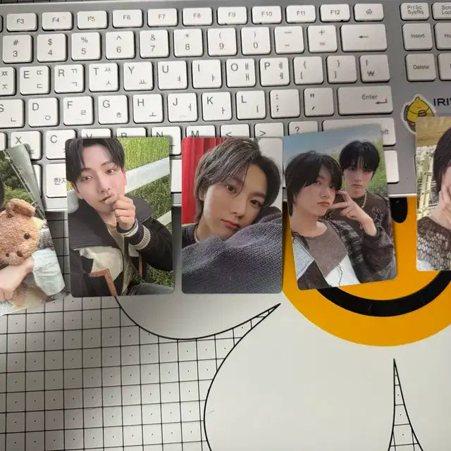 보넥도 포카 판매