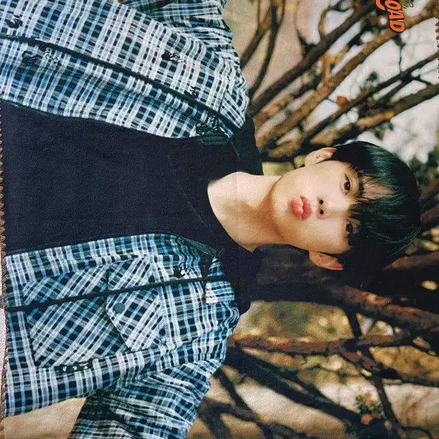 더비로드 콘서트 엠디 선우 담요