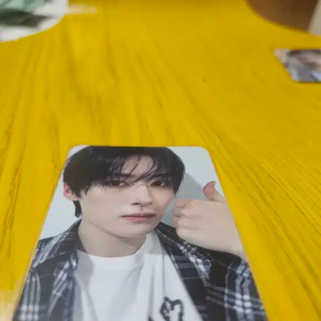스트레이키즈 스키즈 합   리노 포카