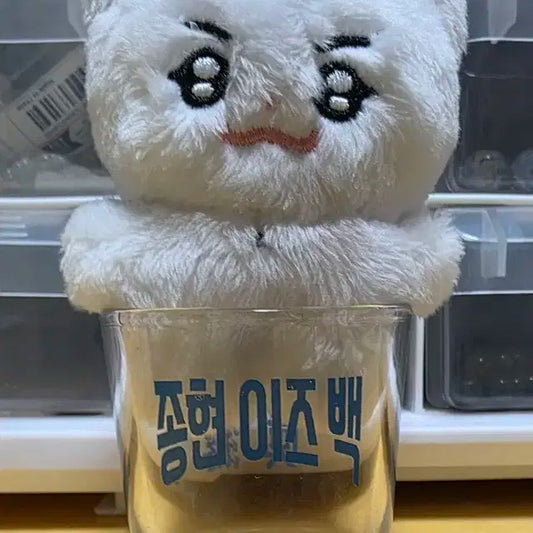 샤이니 종현 종현이즈백 소주잔 비공식