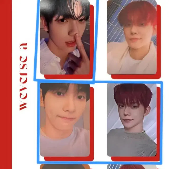생추어리 위버스 앨범 연준 양도
