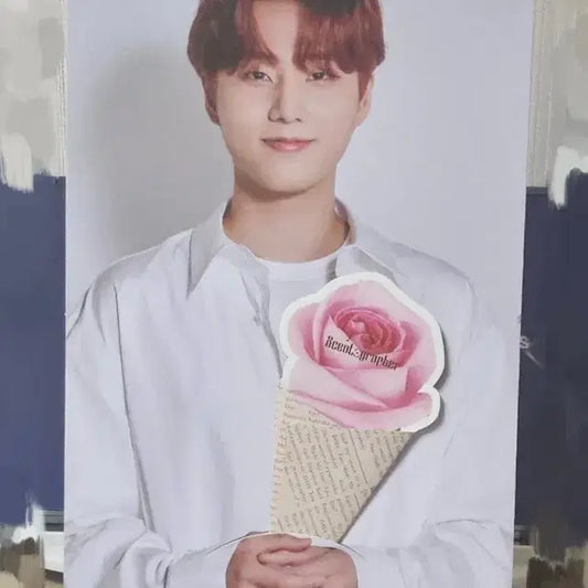 데이식스 영케이 센토그래퍼 미니 포토 배너 2019