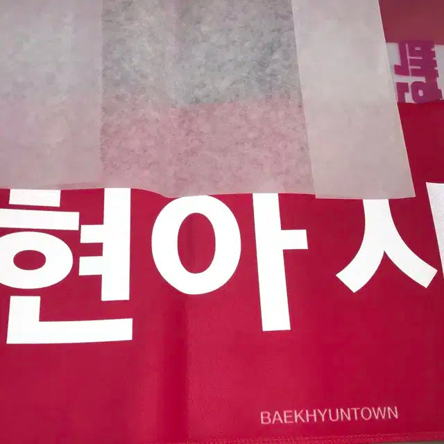 급처) 백현 비공식 슬로건
