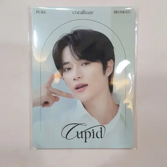범규 코랄헤이즈 포카 4장 미개봉 새상품
