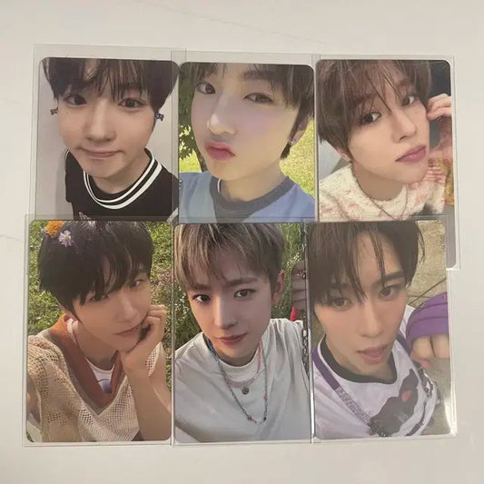 엔시티 위시 시온사쿠야 일괄