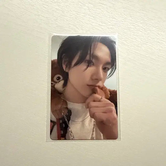 보넥도 성호 who! 원앤온리 파스테 럭드 포카