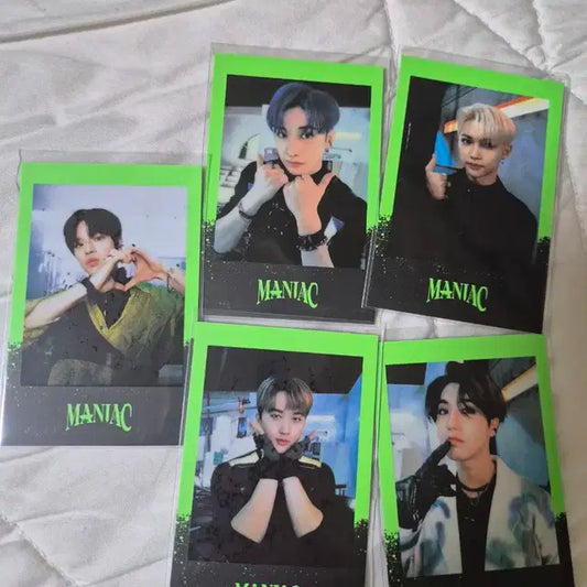 스키즈 월드투어 포카 일괄판매