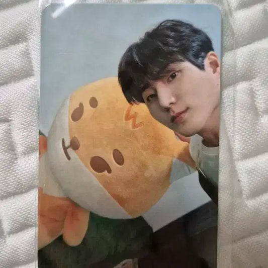 데이식스 이오데 소울컵 포카 영케이
