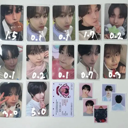 엔시티 위시 리쿠 포카 양도