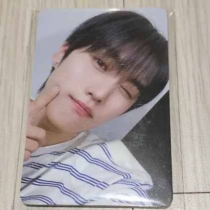 더보이즈 막콘 포카 일괄