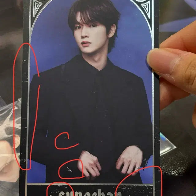 라이즈 성찬 2025 시그 시즌그리팅