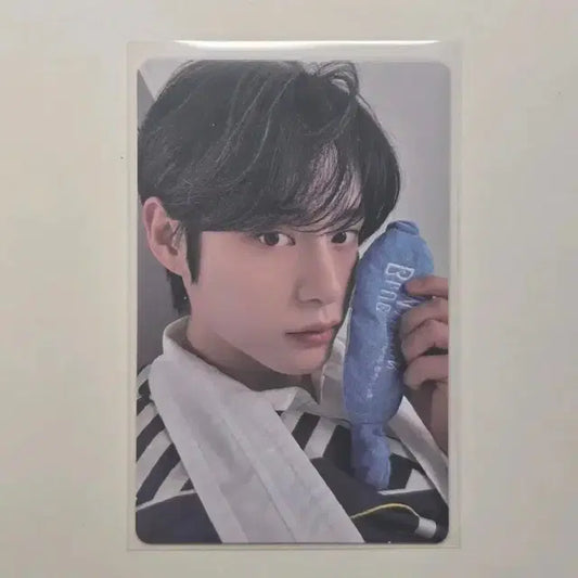 제로베이스원 제베원 팬콘 7만원 포카 김지웅