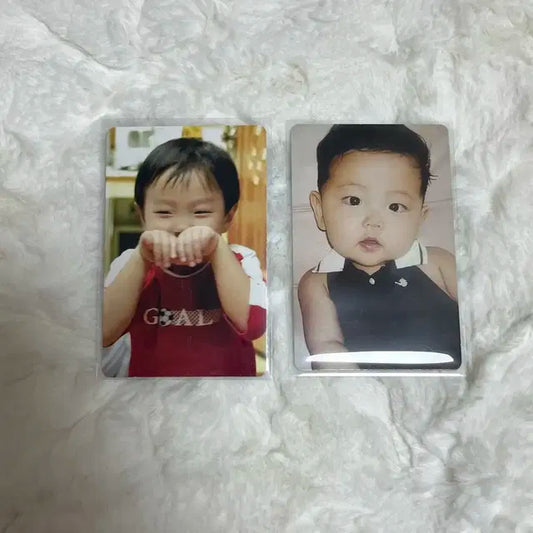 보넥도 아기포카 판매 성호 재현