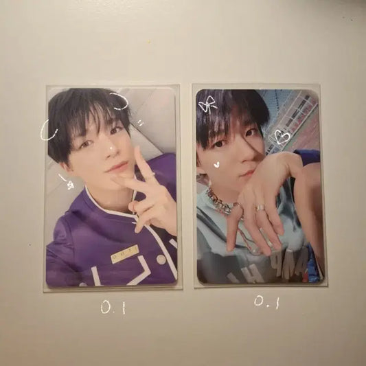 제노포카 양도