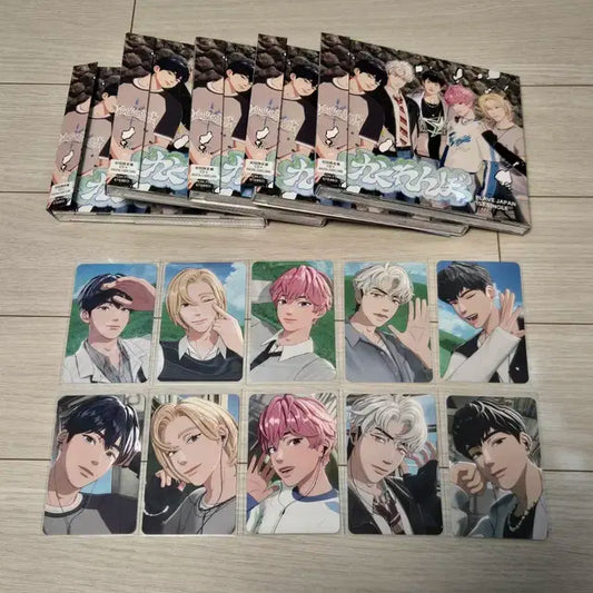플레이브 카쿠렌보 초회한정반 5장+응모권 원가