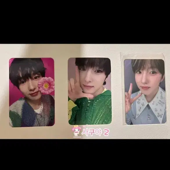 엔시티 위시(nct wish) 사쿠야 포카 팝니다.