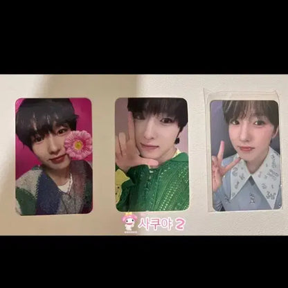 엔시티 위시(nct wish) 사쿠야 포카 팝니다.