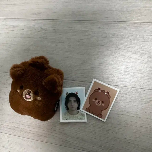 데이식스 성진 엠디 일괄 (새상품)