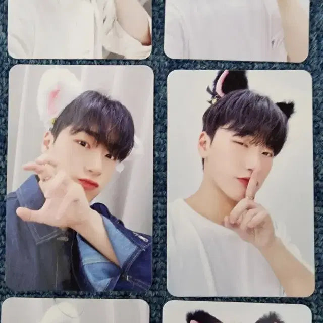 에이티즈 고양이 귀 포카 포토카드 최산 민기 여상