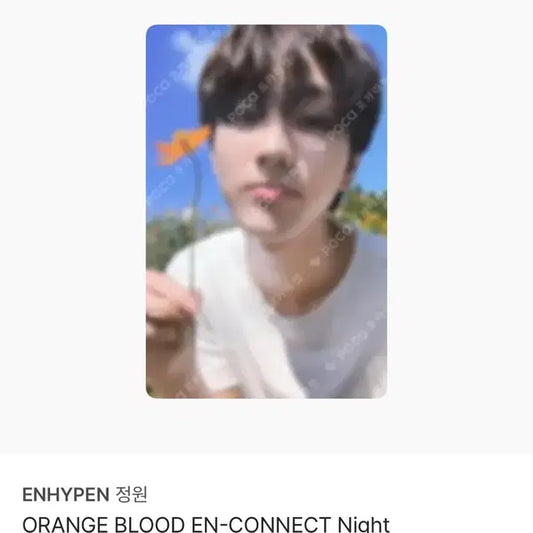 엔하이픈 포카 판매 합니다 정원 성훈 분철 양도