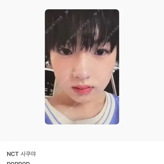 사쿠야 포카 양도