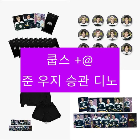 2025 일본 세븐틴 홈 굿즈 분철