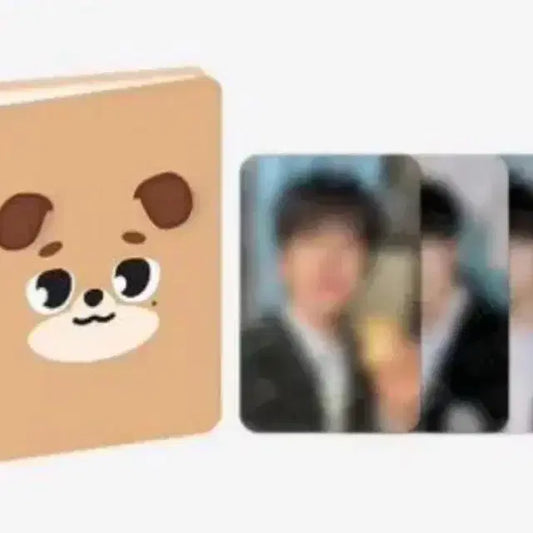 데이식스 도운 데니멀즈 돈 콜렉트북 포카 바인더 양도