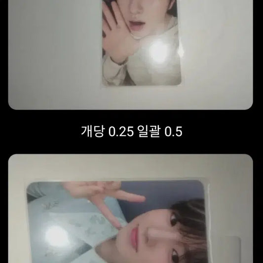 엔위시 사쿠야 포토카드 일괄