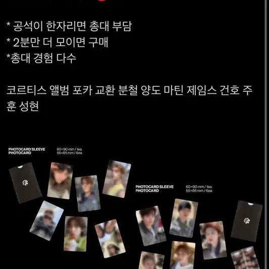 코르티스 싱잉볼+바이닐 분철 !!제임스, 마틴 가능!!