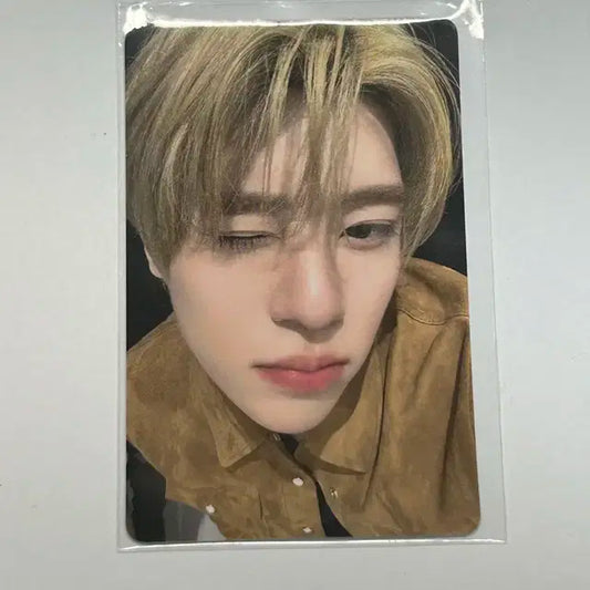 엔시티위시 시온 팝팝 중국엠디 티셔츠 포카 양도