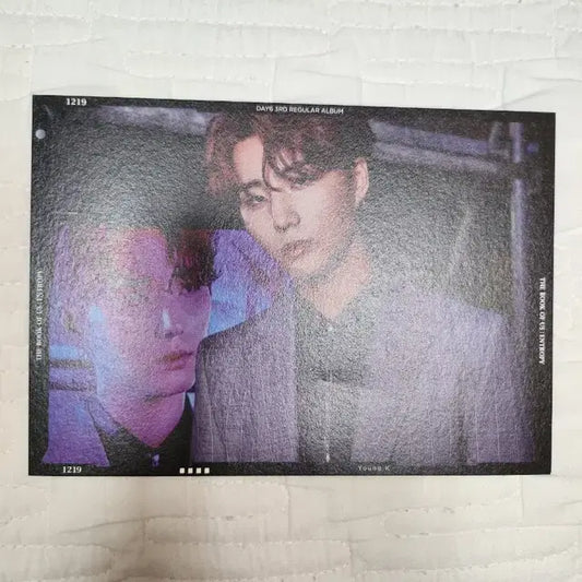 데이식스   엔트로피 앨범엽서