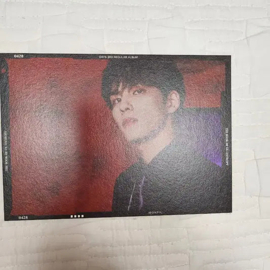 데이식스 엔트로피 앨범엽서