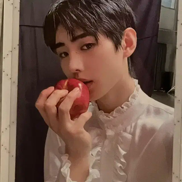 엔하이픈 성훈 보더 데이원 더스크 포카