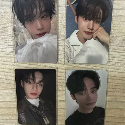 제로베이스원 제베원 김지웅 포카&앨범 구성품 (폭덤)