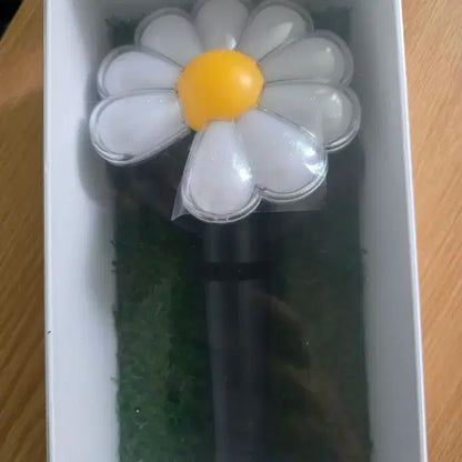 지디 위버멘쉬 데이지 응원봉