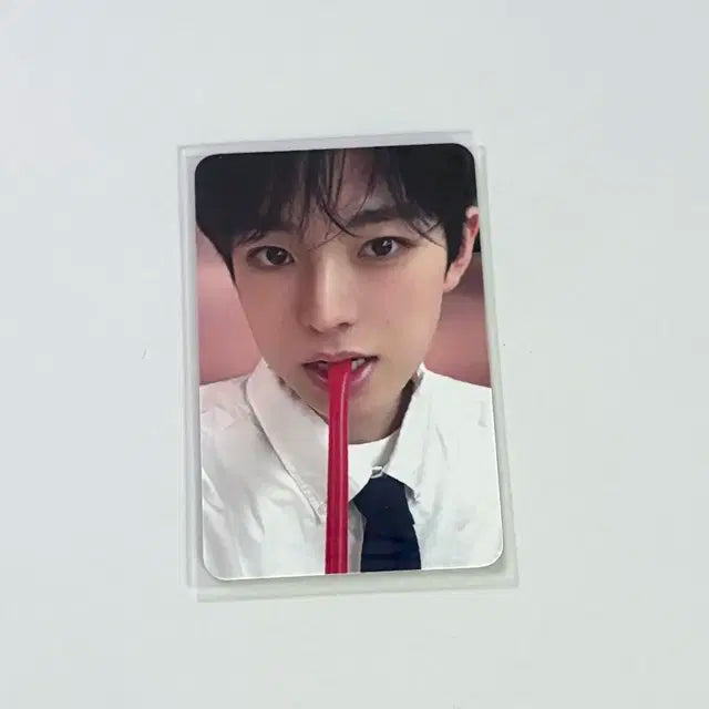 엔시티 위시 유우시 스테디 위드뮤 미공포 포카
