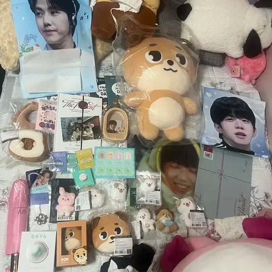 데이식스 굿즈 일괄로 양도 합니다