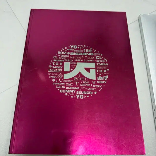 빅뱅 빅쇼(2010), 와이지패밀리 콘서트