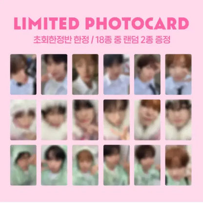 NCT WISH COLOR 앨범 분철