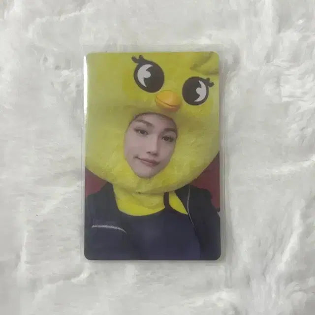 스키즈 필릭스 스키주 맥시던트 짚샵 JYP 샵 미공포 뽁아리 포카 양도