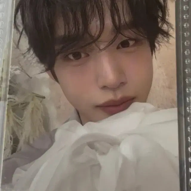 제로베이스원 포카 팔아요